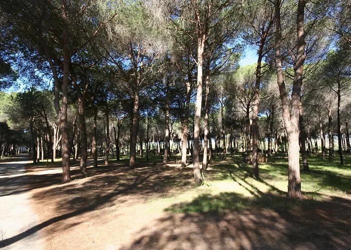Villa La Conchiglia Rooms